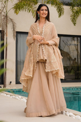 Step into sheer elegance with our Tabby Organza Plazo Set